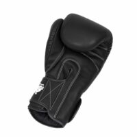 Booster boxing gloves PRO BGL VX 1