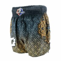 Fairtex thaiboksbroek FFN Black-Gold