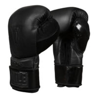 Title Bokshandschoenen Black Training 2.0 Leer